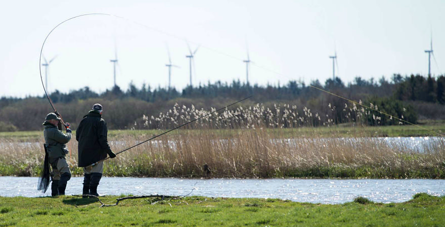85 procent af borgerne er godt tilfredse med tilværelsen